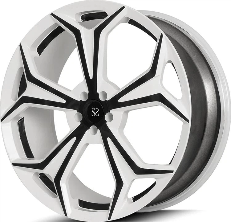 SSFG1003-2